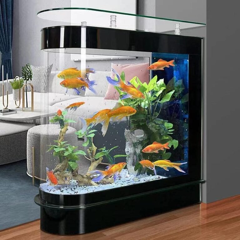 Corner Fish Tanks: Maximizing Space and Style – the Fish Tank Corner