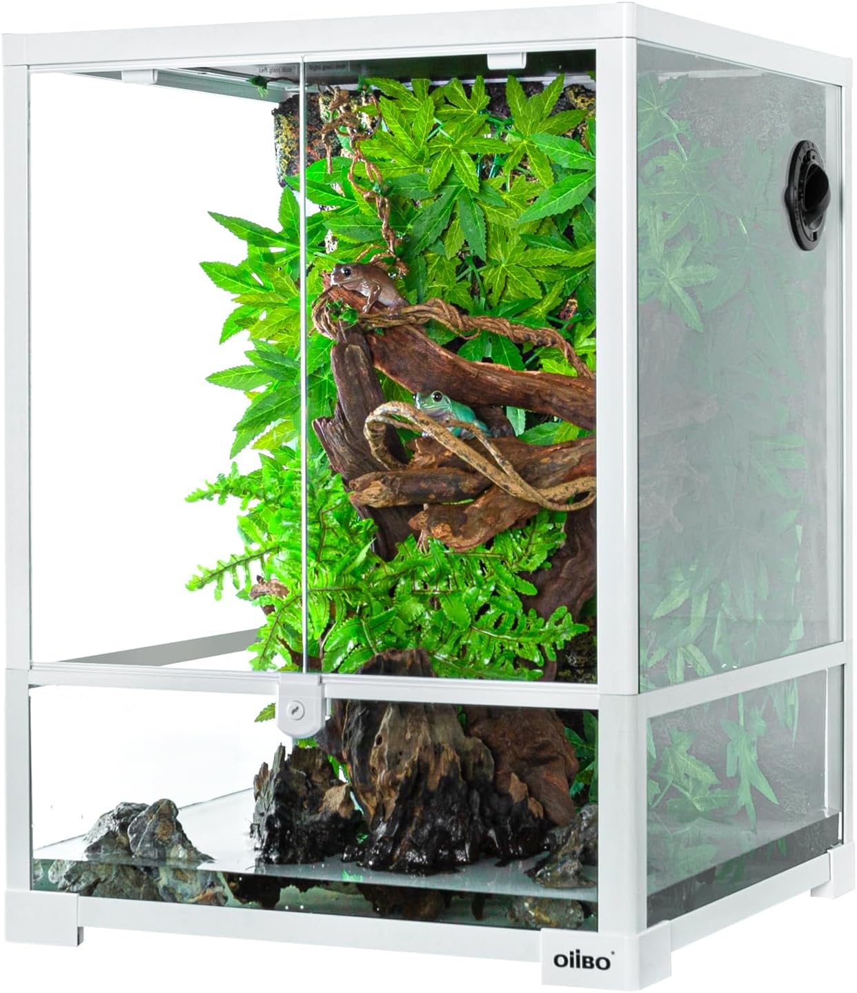 Building a Paludarium for Dart Frogs and Fish – The Ultimate Guide ...